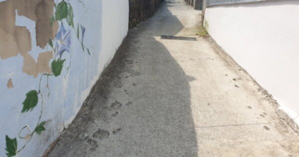 전남 고흥군 도덕면 용동리 OOO 단독주택 경매 물건 이미지