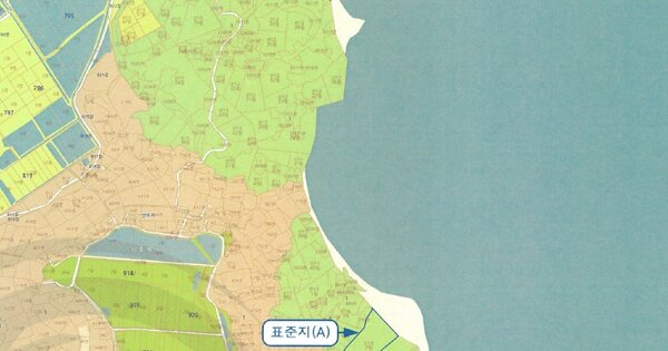 전라남도 신안군 압해읍 신장리 OOOOO 임야 경매 물건 이미지