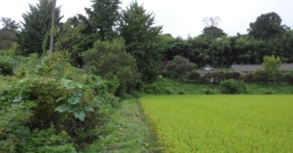 충남 당진시 송악읍 가학리 OOOOO 전 경매 물건 이미지