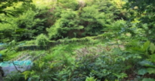 울산광역시 북구 염포동 OOO O OOO 답 경매 물건 이미지