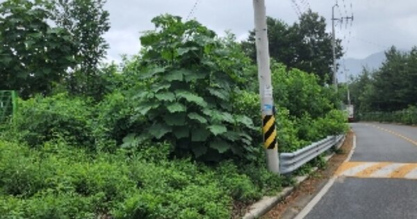 울산광역시 울주군 웅촌면 고연리 OOOOOO 임야 경매 물건 이미지
