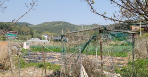 인천광역시 옹진군 영흥면 내리 OOOOOO 과수원 경매 물건 이미지