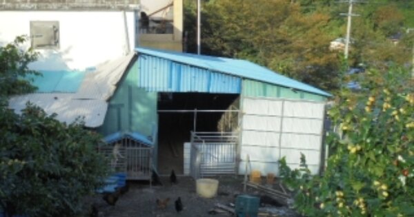 충청북도 보은군 수한면 오정리 OOOOO 전 경매 물건 이미지