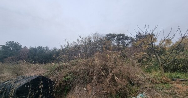 전라남도 영암군 신북면 이천리 OOOOO O OOO 전 경매 물건 이미지