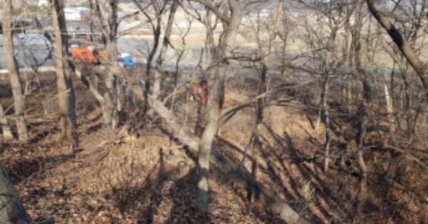 충청남도 당진시 송산면 동곡리 OOOOO 임야 경매 물건 이미지