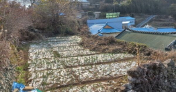 경상남도 남해군 남면 평산리 OOOOOO 대지 경매 물건 이미지