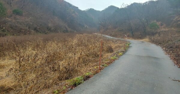 충청북도 단양군 매포읍 응실리 OOO O OOO 전 경매 물건 이미지