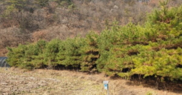 충청북도 단양군 매포읍 응실리 OOOOO 답 경매 물건 이미지