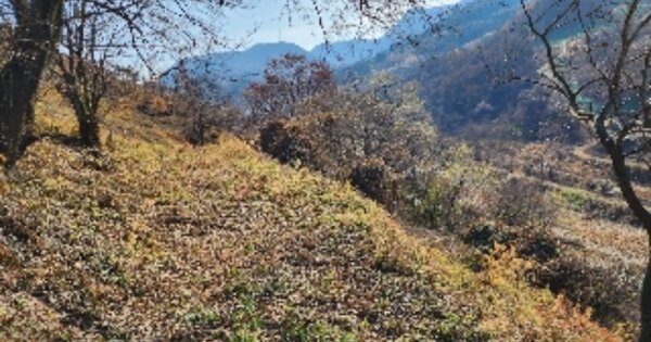 충청북도 제천시 덕산면 선고리 OOO 전 경매 물건 이미지