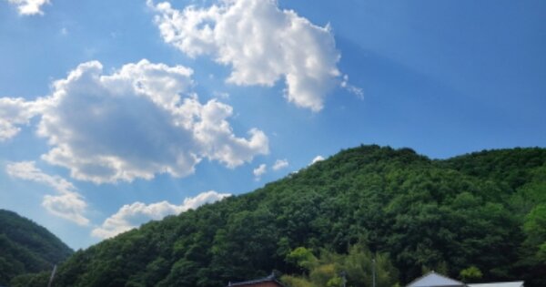 경상북도 영덕군 남정면 사암리 OOO 임야 경매 물건 이미지