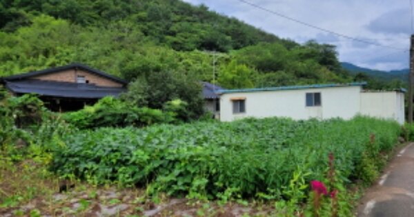 경상북도 영덕군 달산면 덕산리 OOOOO 대지 경매 물건 이미지