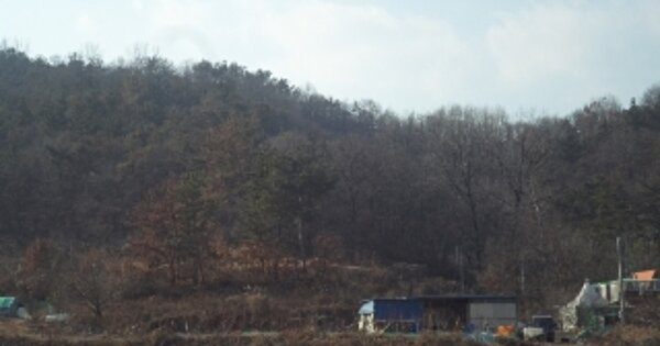 경상남도 창녕군 대합면 내울리 OOOO 임야 경매 물건 이미지