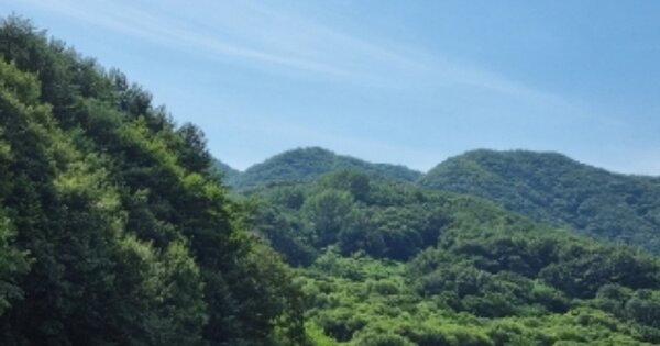 경상북도 경주시 내남면 비지리 OOOO 전 경매 물건 이미지