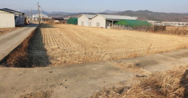 경상북도 경주시 건천읍 신평리 OOOOO 답 경매 물건 이미지