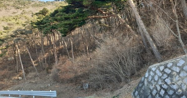 인천광역시 옹진군 덕적면 서포리 OOOO 임야 경매 물건 이미지
