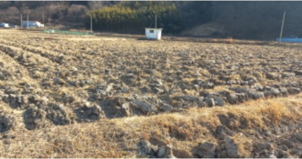 경상남도 거제시 연초면 덕치리 OOO 답 경매 물건 이미지