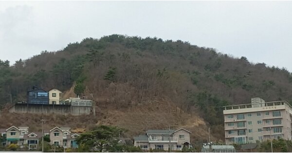 경상남도 거제시 연초면 오비리 OOOO 임야 경매 물건 이미지