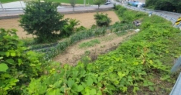 경상남도 거제시 둔덕면 하둔리 OOOOO 답 경매 물건 이미지