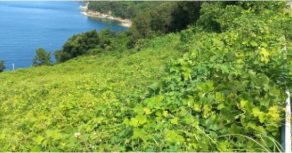 경상남도 통영시 욕지면 서산리 OOOOO 전 경매 물건 이미지