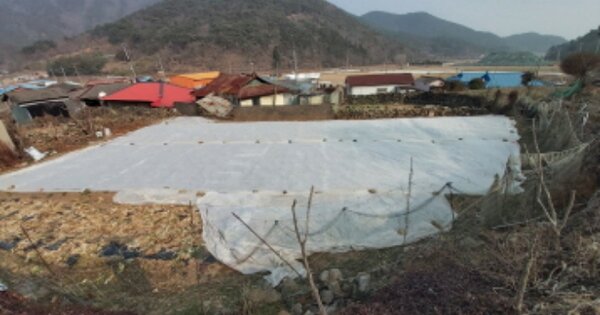 경상남도 고성군 동해면 장좌리 OOO 대지 경매 물건 이미지