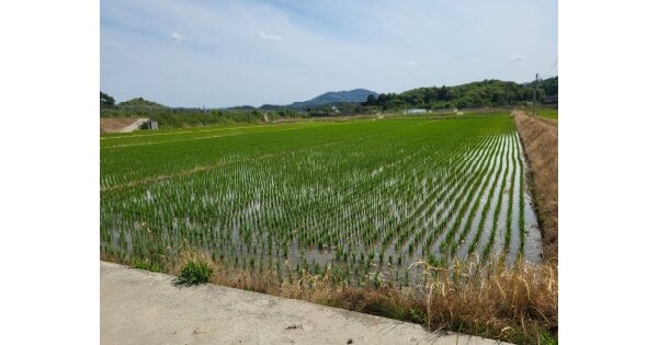 충청북도 충주시 소태면 양촌리 OOOOO 답 경매 물건 이미지