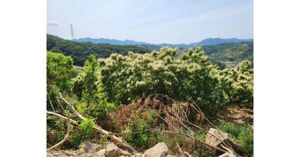 충청북도 충주시 소태면 중청리 OO 답 경매 물건 이미지