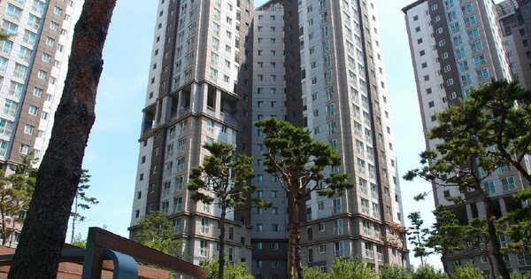 경기 김포시 장기동 2004-4, 104동 OOOOOOOO OOOOOOOOOOOOOOOOO 아파트 경매 물건 이미지