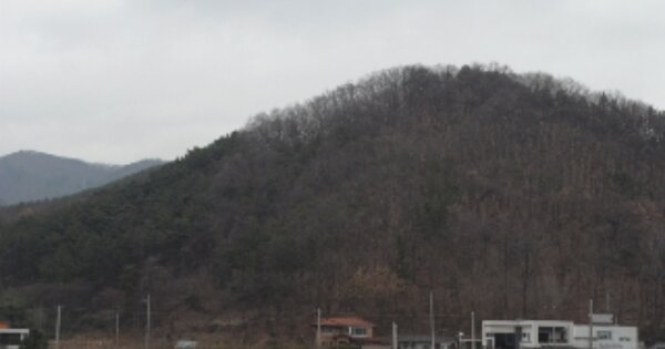 대구광역시 달성군 가창면 상원리 OO O OOO 임야 경매 물건 이미지