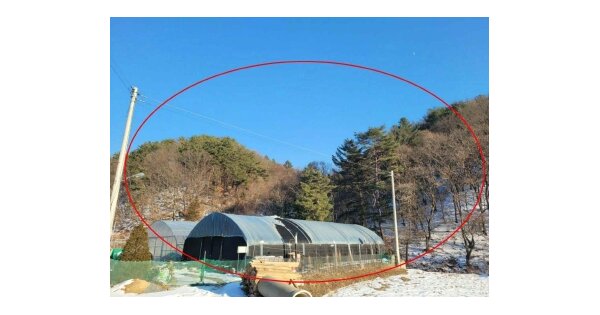 경기도 양평군 양서면 부용리 OOO 임야 경매 물건 이미지