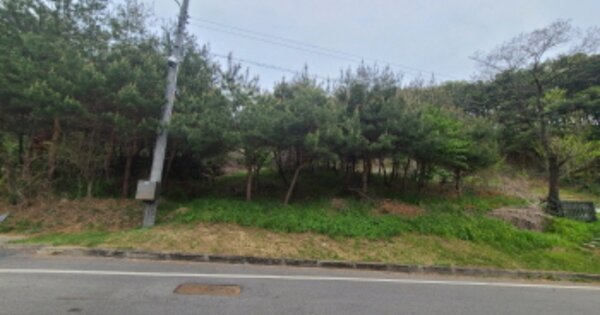경기도 성남시 수정구 상적동 OOOOO 답 경매 물건 이미지
