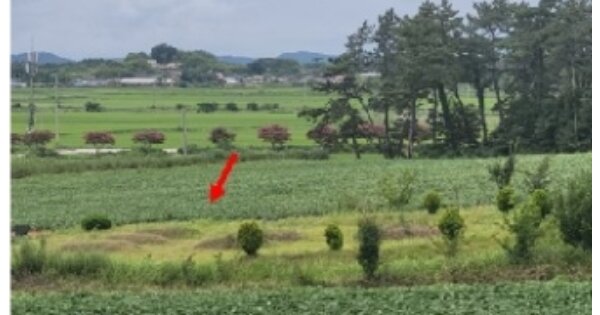 전라남도 영암군 시종면 와우리 OOOOOO O OOO 전 경매 물건 이미지