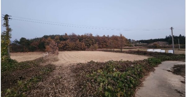 전라남도 해남군 옥천면 용산리 OOOOO 임야 경매 물건 이미지