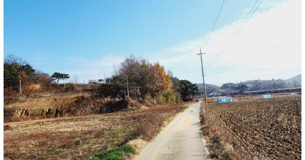 충청남도 당진시 석문면 통정리 OOOOOO 임야 경매 물건 이미지