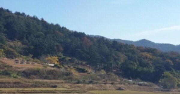 전라남도 보성군 조성면 은곡리 OOOOO 전 경매 물건 이미지