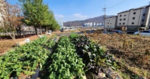 경기도 광주시 역동 OOOOO 전 경매 물건 이미지