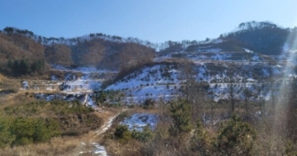 충청북도 괴산군 청안면 부흥리 OOOOOO O OOO 임야 경매 물건 이미지