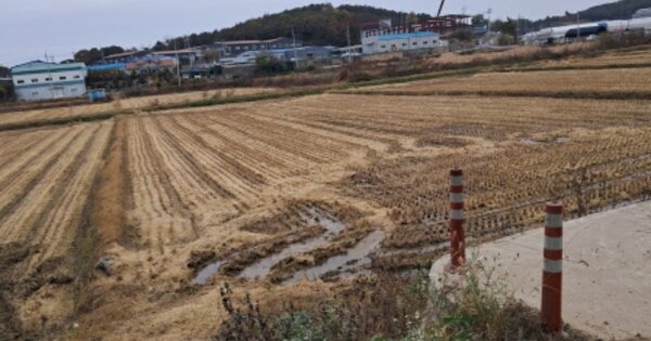 경기도 파주시 월롱면 영태리 OO O OOO 답 경매 물건 이미지