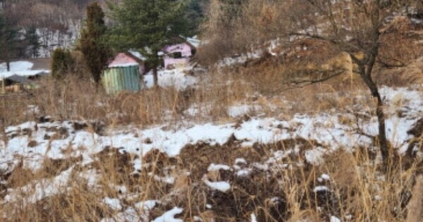 경기도 용인시 처인구 이동읍 묵리 OOO O OOO 답 경매 물건 이미지