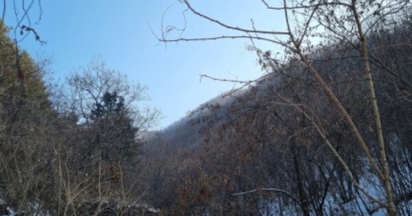 경기도 가평군 청평면 하천리 OOOOO 임야 경매 물건 이미지