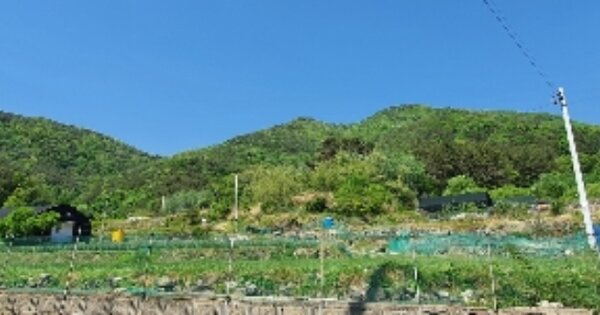 경상남도 창원시 마산회원구 내서읍 안성리 OOO 임야 경매 물건 이미지