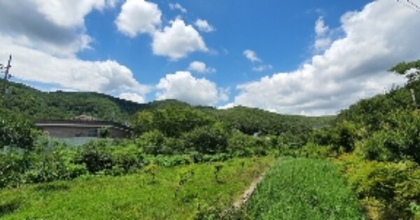 경상남도 창원시 마산회원구 내서읍 삼계리 OOOOOO 전 경매 물건 이미지