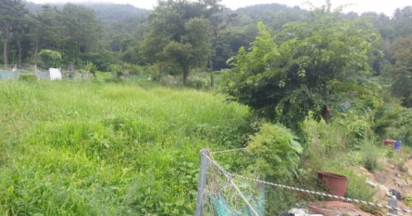 부산광역시 강서구 녹산동 OOO O OOO 답 경매 물건 이미지