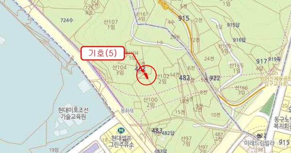 울산광역시 동구 방어동 OOOOOO 임야 경매 물건 이미지