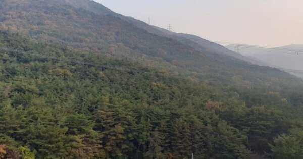 부산광역시 북구 화명동 OOOOOO 임야 경매 물건 이미지