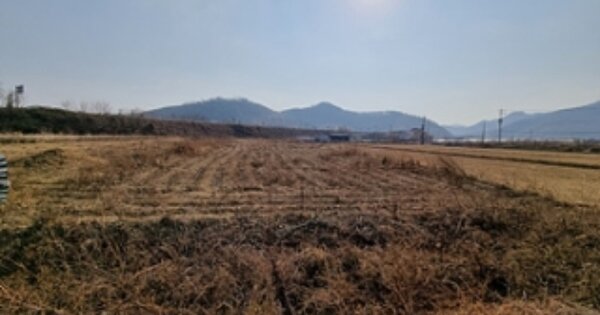 경상남도 창원시 의창구 동읍 봉곡리 OOO 답 경매 물건 이미지