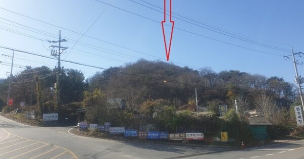 경상북도 경산시 와촌면 신한리 OOO 임야 경매 물건 이미지