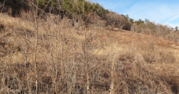경상남도 함양군 휴천면 남호리 OOOO O OOOO 과수원 경매 물건 이미지