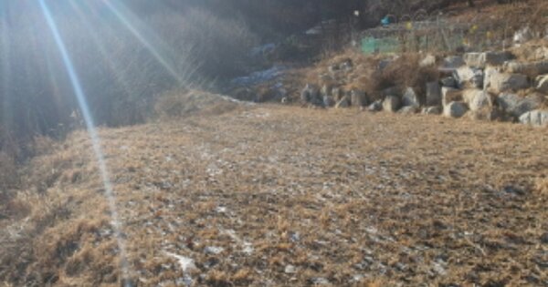 경기도 광주시 퇴촌면 영동리 OOOOO 전 경매 물건 이미지