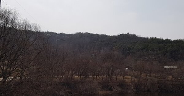 경상북도 군위군 소보면 도산리 OOOOOO O OOO 임야 경매 물건 이미지