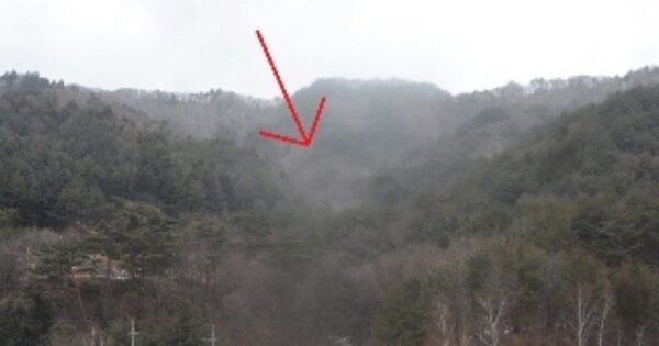 강원도 평창군 진부면 척천리 OOO 임야 경매 물건 이미지